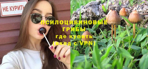 винт Богданович