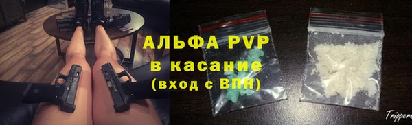 a pvp Белокуриха