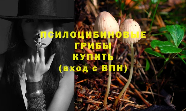 бутират Богородицк